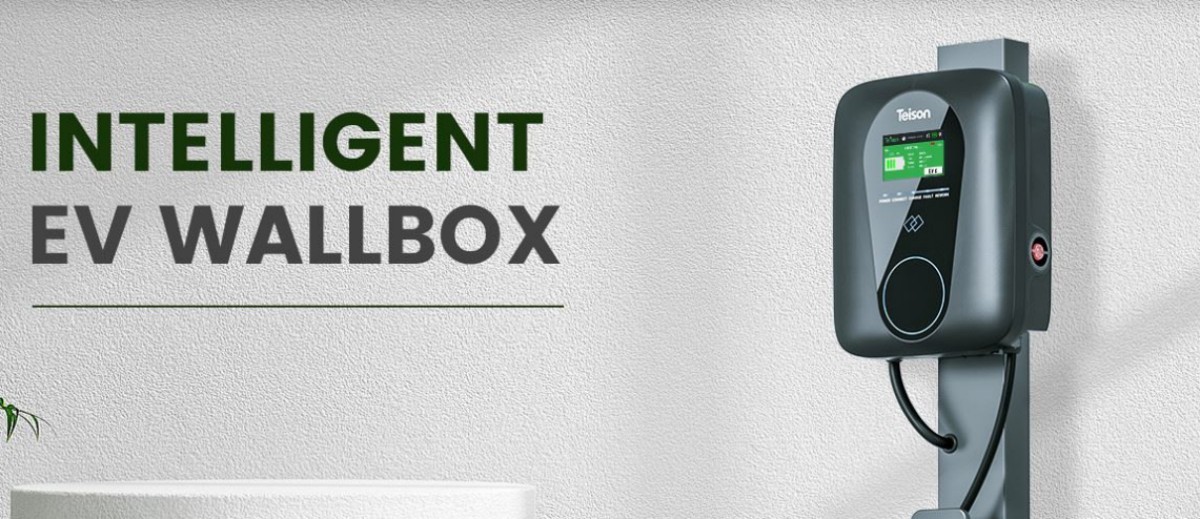 Frankrike förbättrar kraftfullt stödjande anläggningar för elfordon