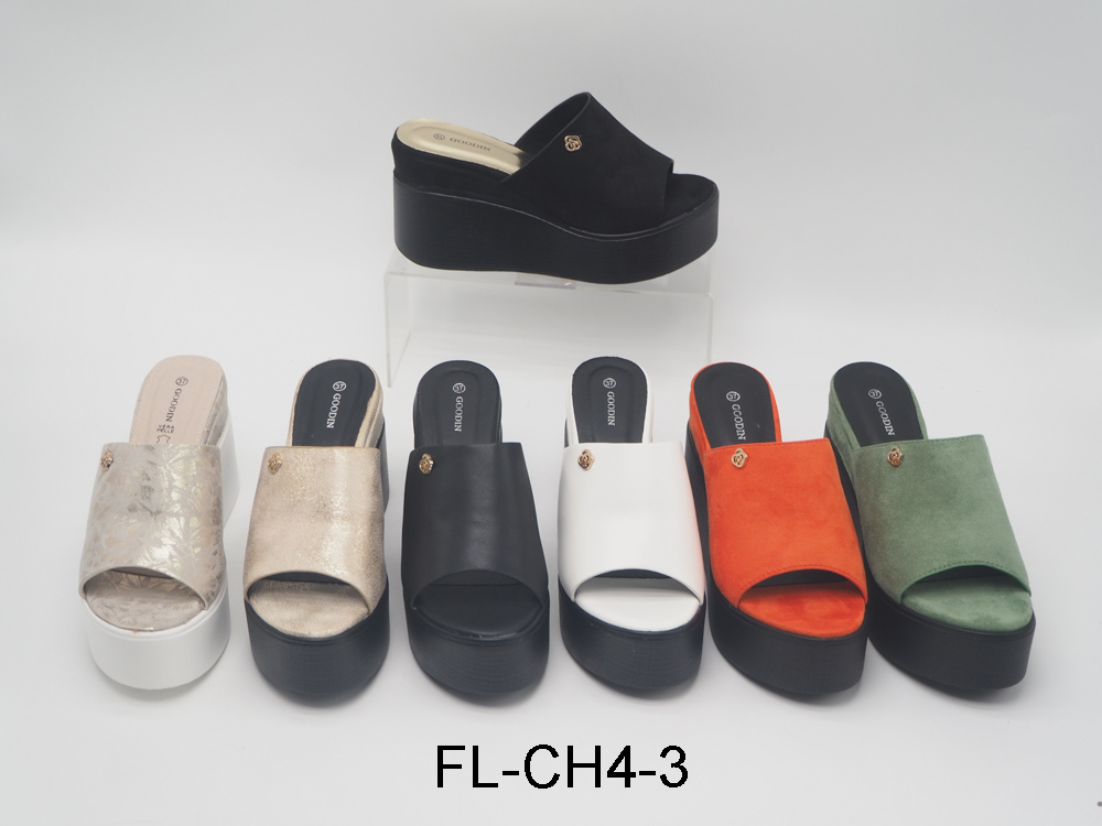 Ladies Shoes Ladies Shoes