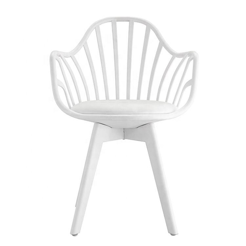 Plastic Dining Chairs