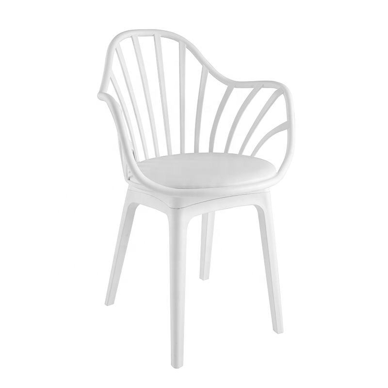 Plastic Dining Chairs