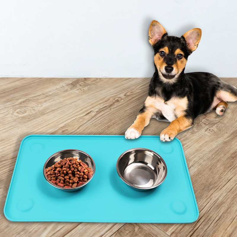 Suction pad for pets Suction pad for pets