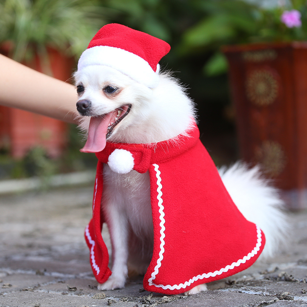 Christmas Pet hat and cape