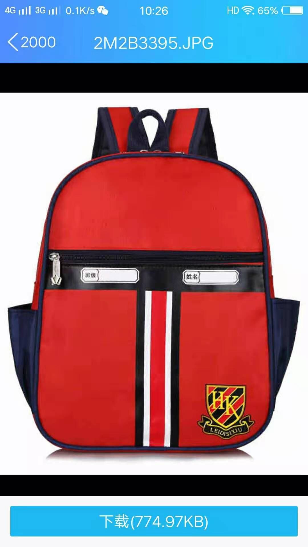 Children Schoolbag