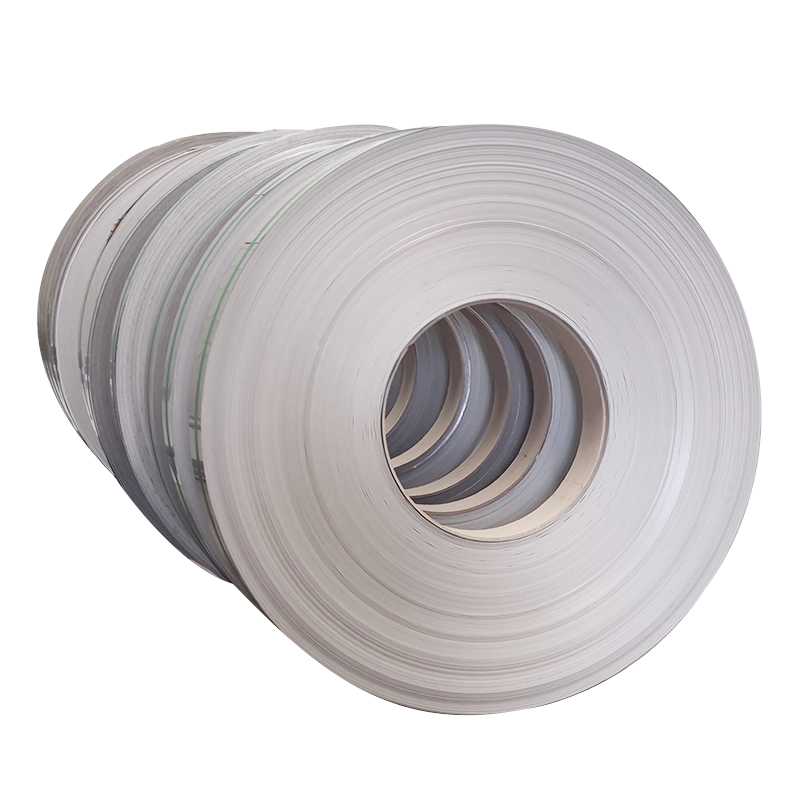 316/316L Stainless Steel Stirp