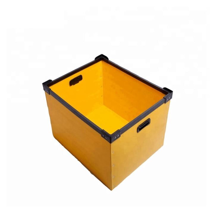 Coroplast Skeleton Box