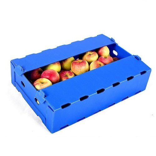 Correx Fruit Box