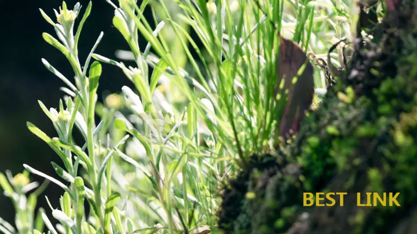 What is soy fabric? What is soy fabric?