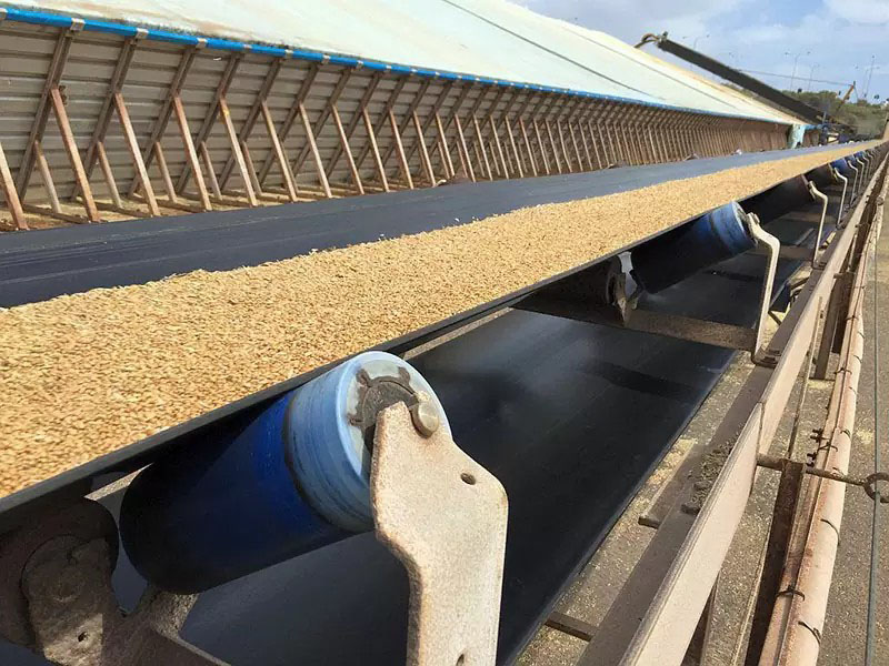 Correa transportadora de tejido