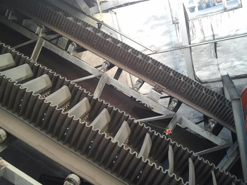 Cinta transportadora de pared lateral