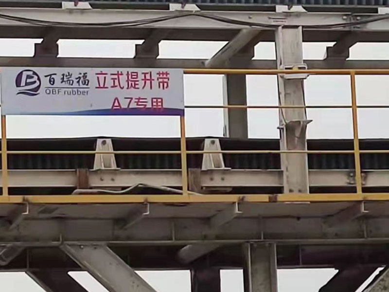 Cinta transportadora de pared lateral