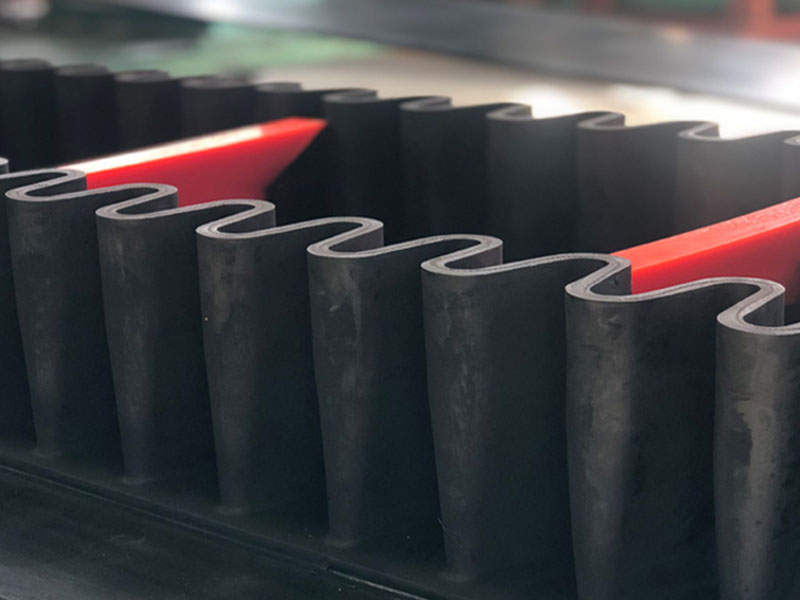 Cinta transportadora de pared lateral