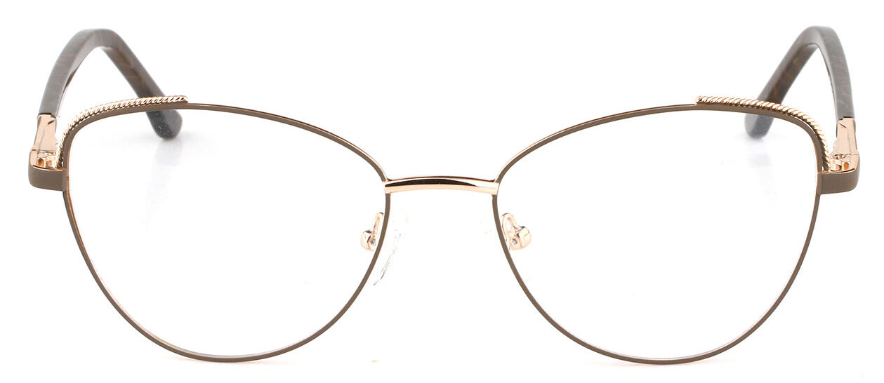 SN210049 Women Metal optical frame