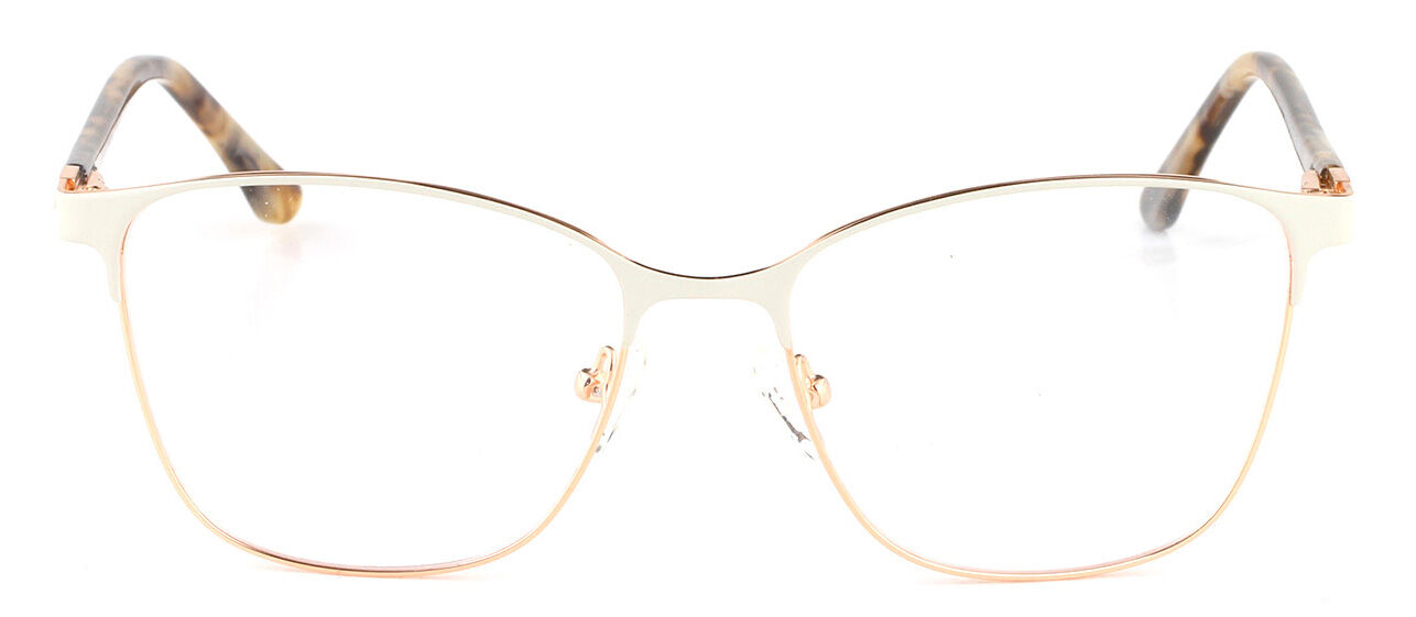 SN210091 Women Metal optical frame