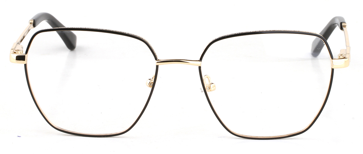 SN210106 Women Metal optical frame
