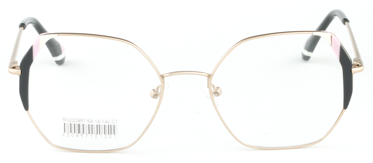 SN220957 Women Metal optical frame