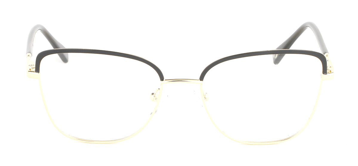 SN221297 Women Metal optical frame