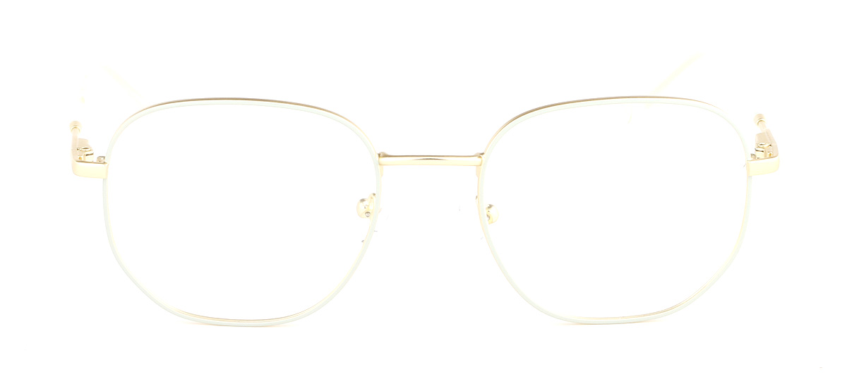 SN221298 Women Metal optical frame
