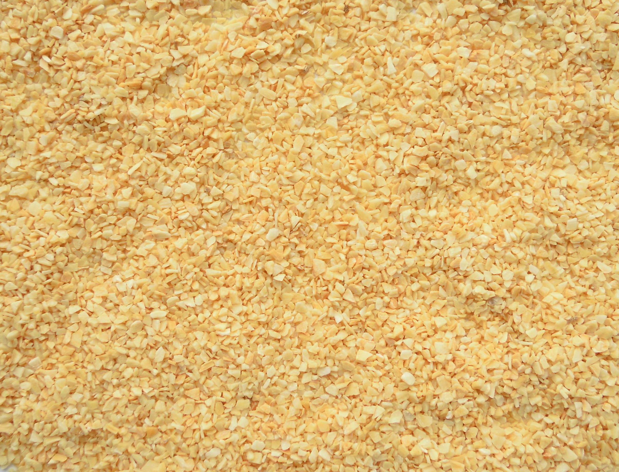 Dehydrated Garlic Granule
