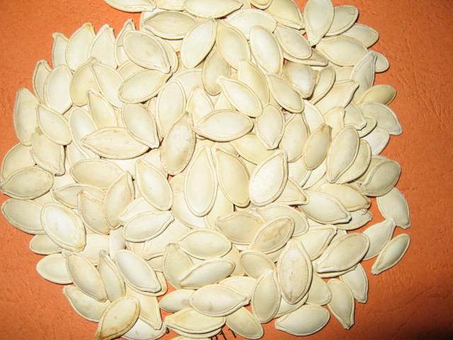 Shine Skin Pumpkin Seed.jpg