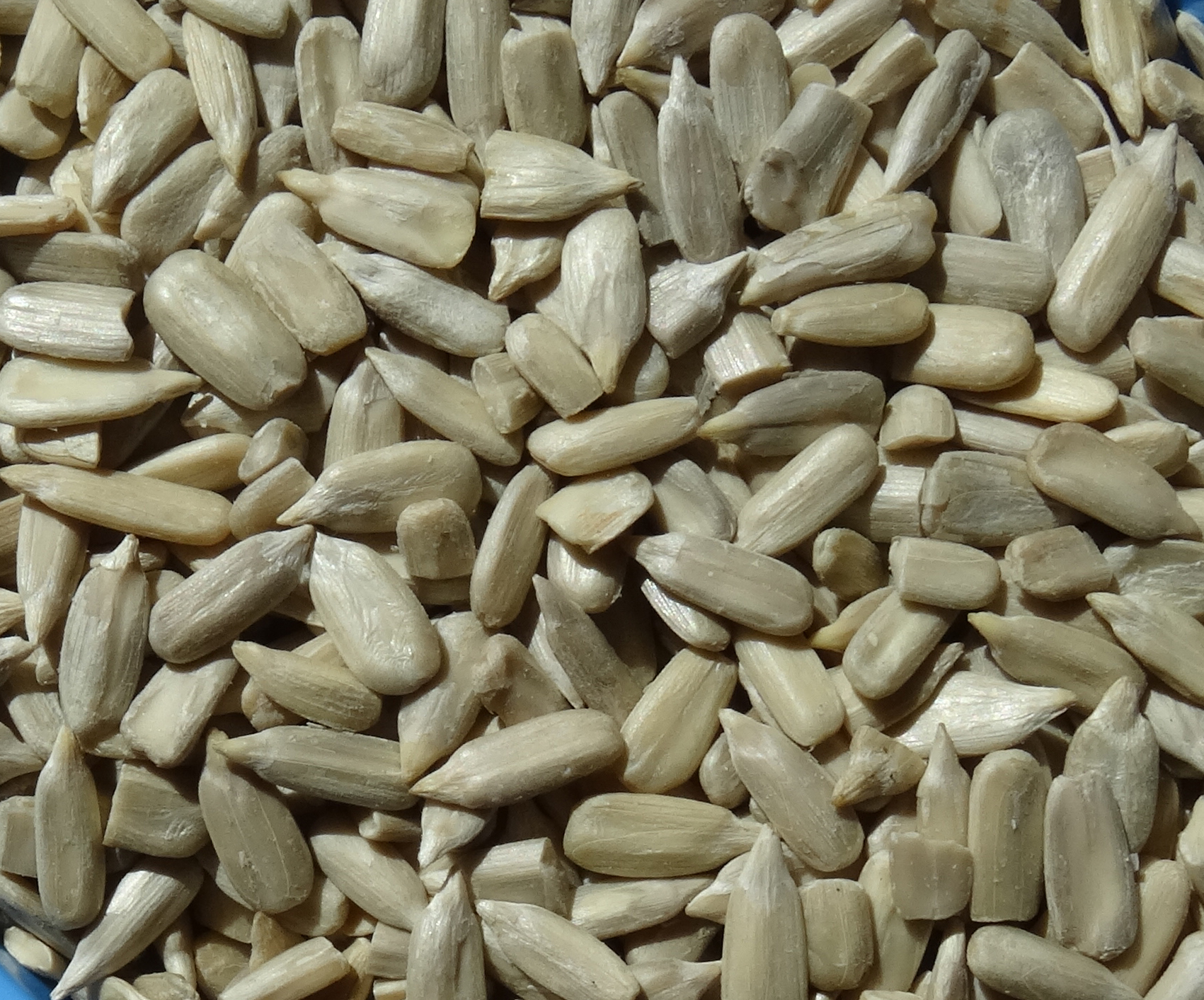 Sunflower Seed Kernels--Confectionary
