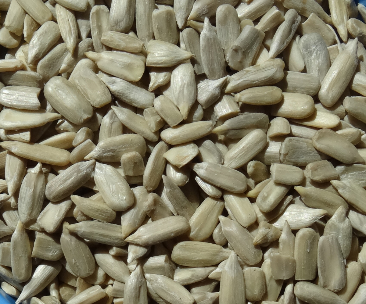Sunflower Seed Kernels--Confectionary.JPG