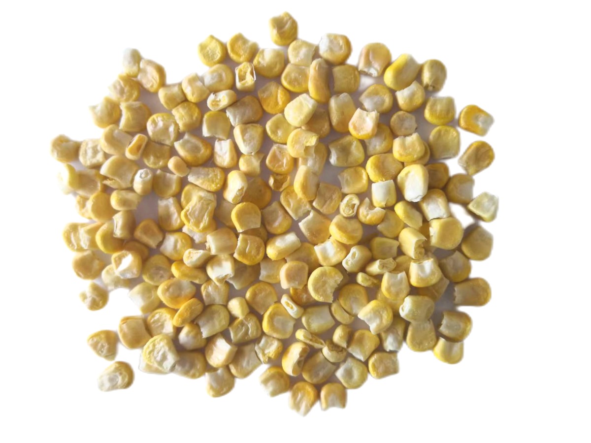 FD Sweet Maize(1)(1).png