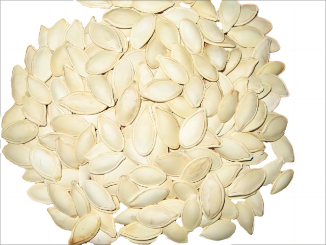 Shine Skin Pumpkin Seed