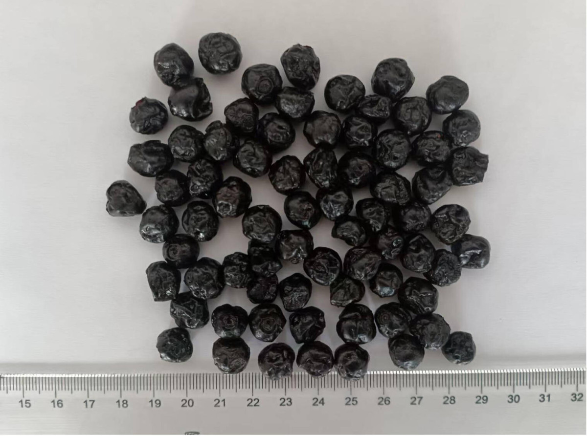 Dried Blueberry.jpg