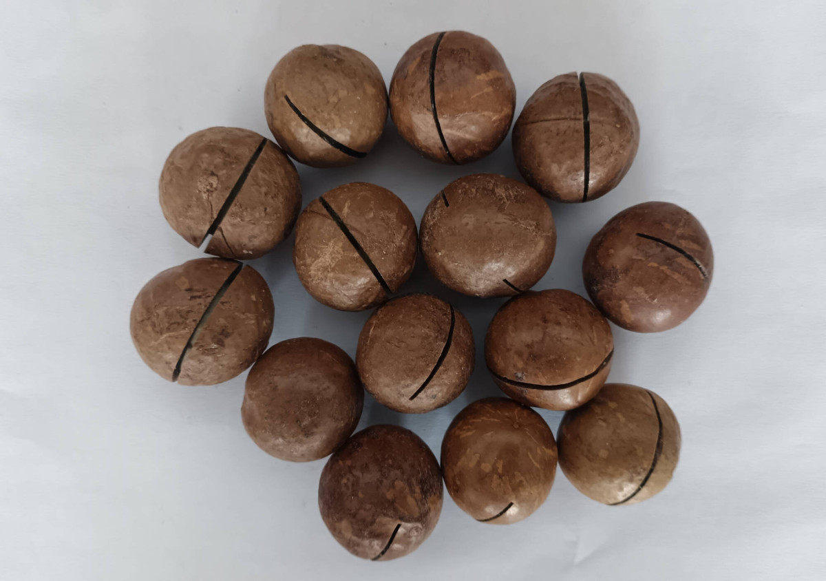 Macadamia Nuts.jpg