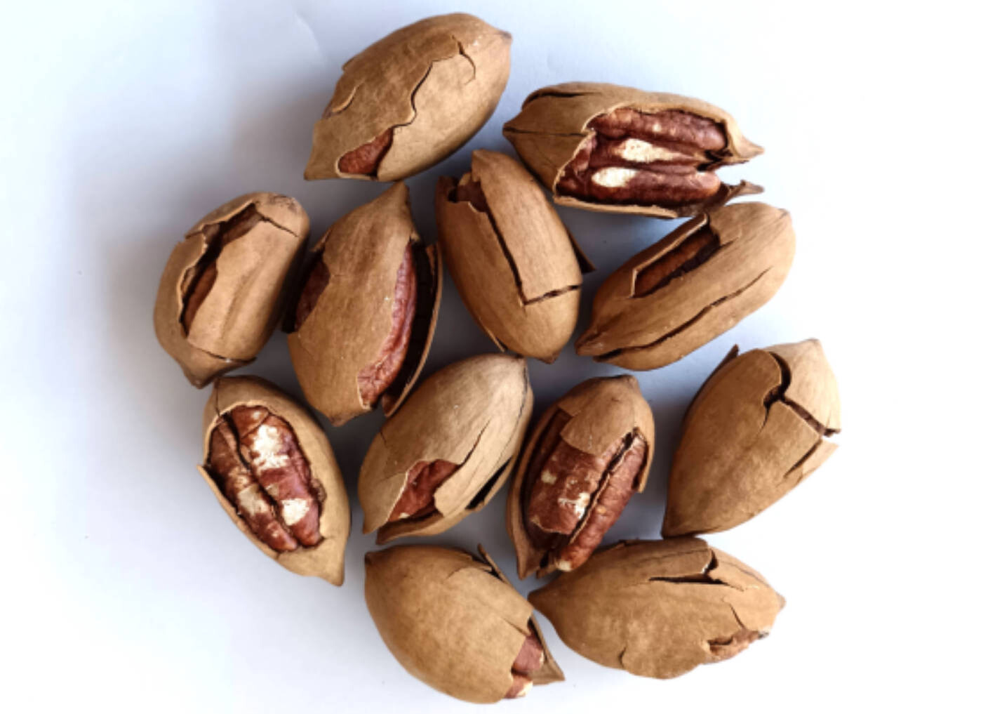 Pecan Nuts