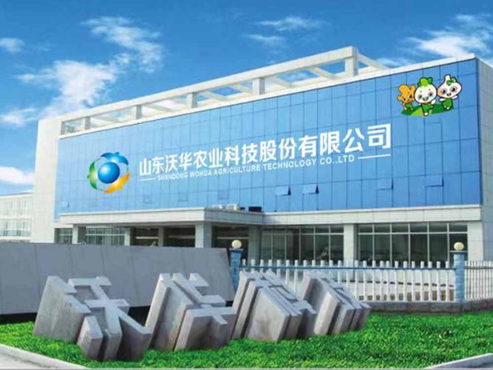 Boas notícias|A Shandong Wohua Agriculture obteve a qualificação para certificação de nível de habilidade de desenvolvimento!