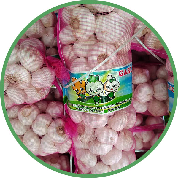 bulbos de alho fresco