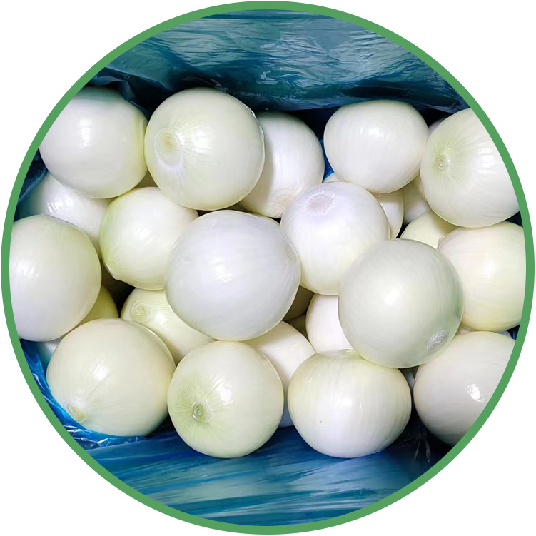 Cebola Amarela Descascada