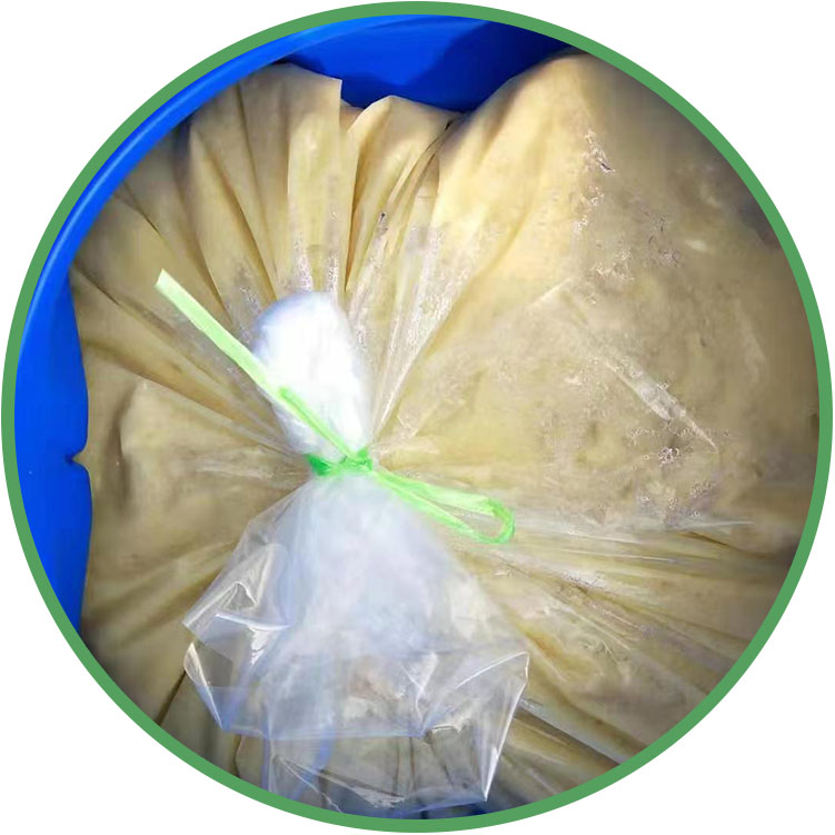 Pasta de Gengibre Fresco