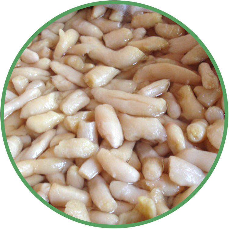 gengibre em conserva.jpg