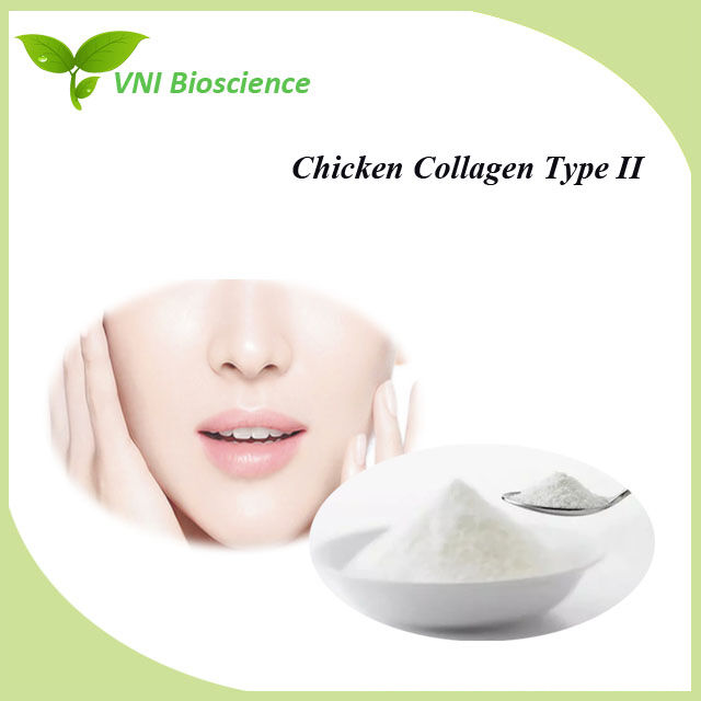 Colágeno de pollo tipo Ⅱ