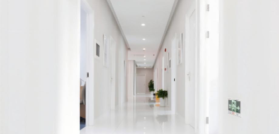 Placa de acero de color de purificación y acero galvanizado prepintado (PPGI) y acero galvanizado prepintado (PPGL)