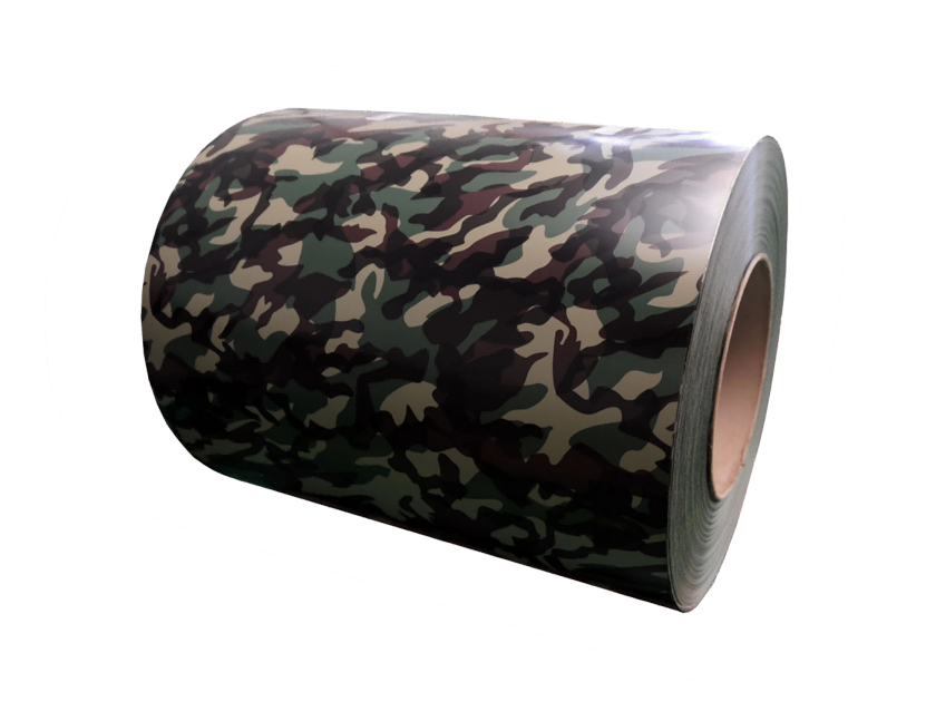 Chapa de acero de color de impresión & Acero Galvanizado Prepintado (PPGI) & Acero Galvalume Prepintado (PPGL)