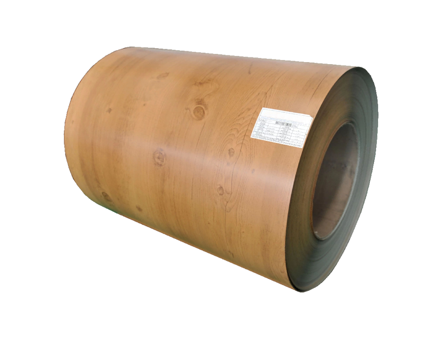 Chapa de acero de color de impresión & Acero Galvanizado Prepintado (PPGI) & Acero Galvalume Prepintado (PPGL)