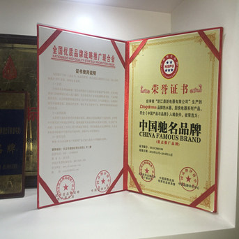 In January 2007, Dingxin attained Chinese Famous Brand Title in the water heater field