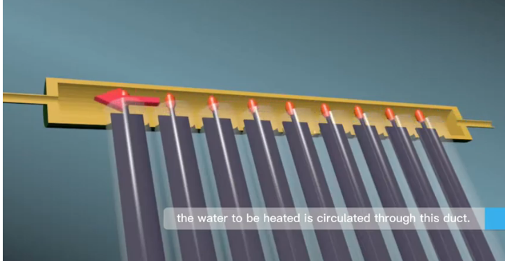 How does the evacuated tube solar water collector work?