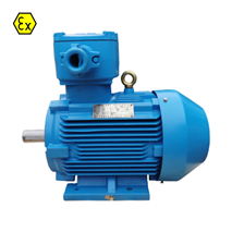 Motor profesional de explosión WNEX3 Motor profesional de explosión WNEX3