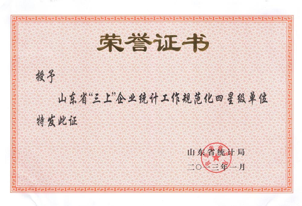 Shandong Provincial Bureau of Statistics - Four-Star Unit