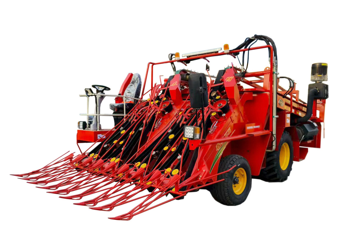 微信图片_20251217145543_43_160 微信图片_20251217145543_43_160