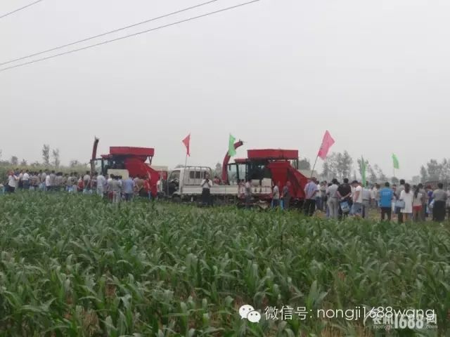 20190301150604609.jpg@!w400