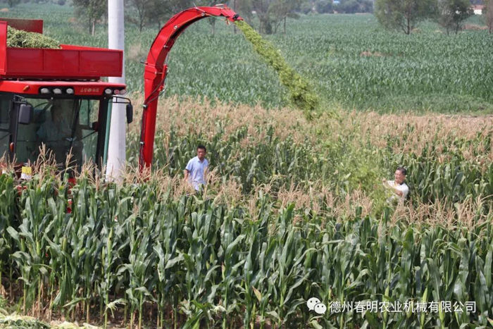 20190808143818195.jpg@!w400