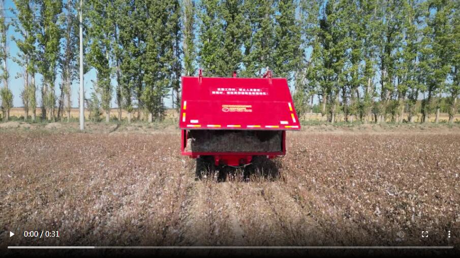 Working effect of cotton picking harvester