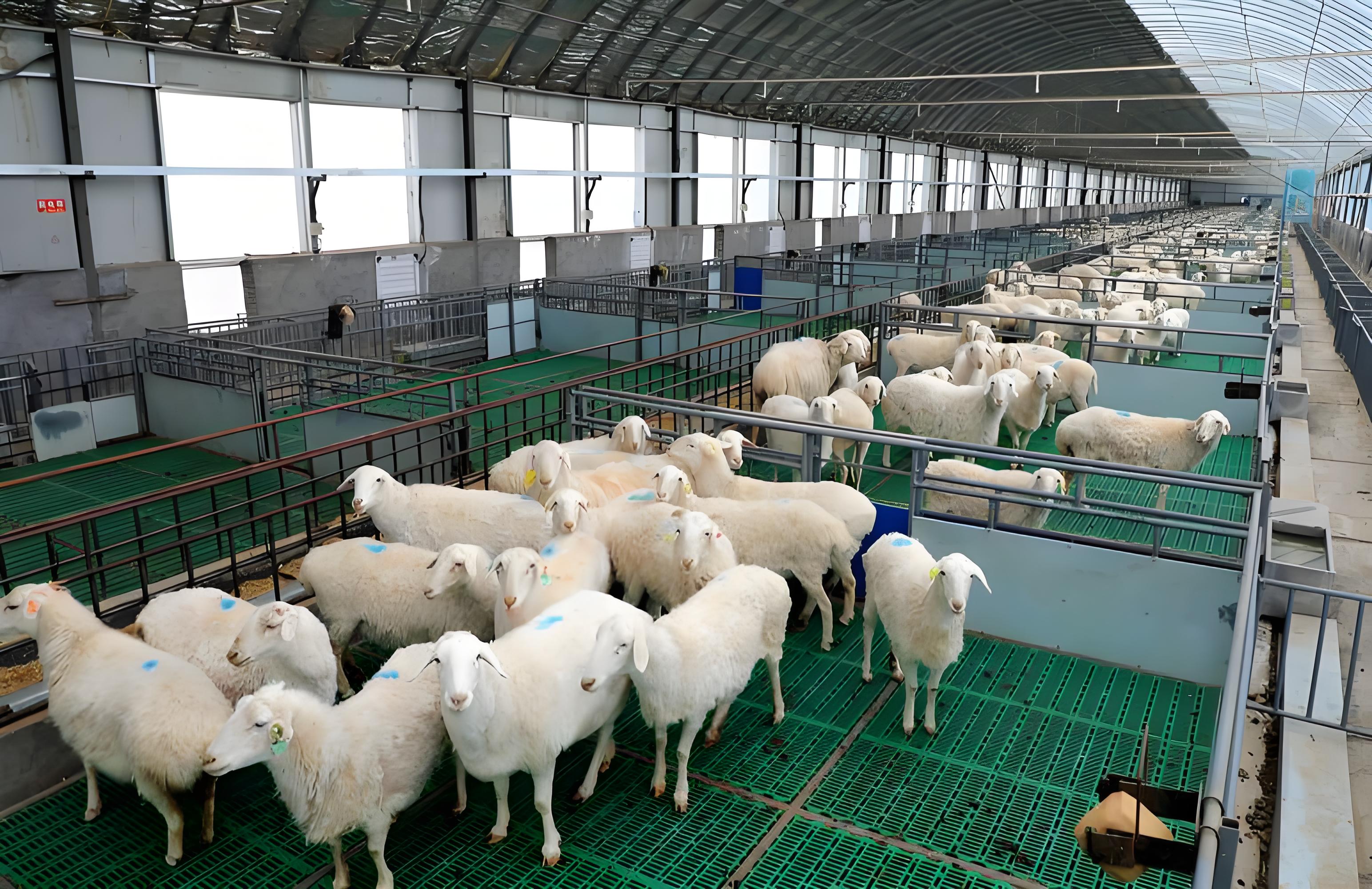 Second class epidemic disease