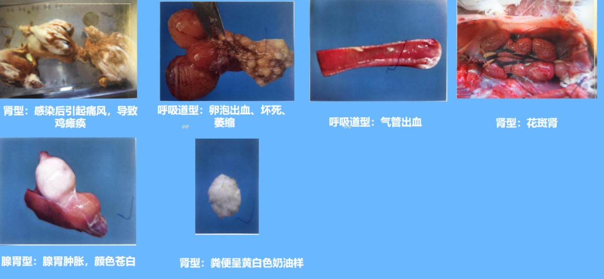 微信图片_20250625164400 微信图片_20250625164400