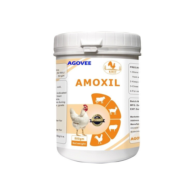 AMOXIL